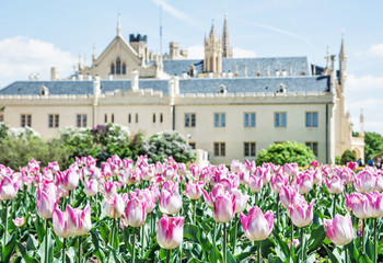 Majestic Lednice castle with flowering tulips, southern Moravia, Czech republic