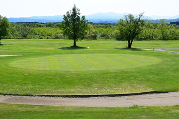 Obraz premium 新緑のゴルフ場