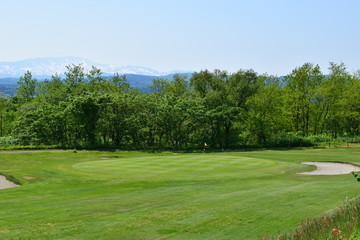 新緑のゴルフ場