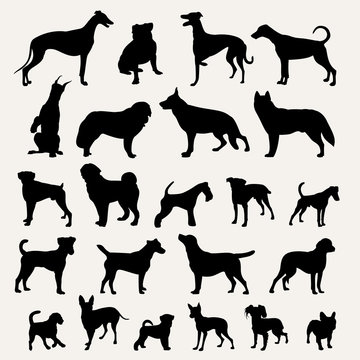 Silhouettes of dogs on a light gray background