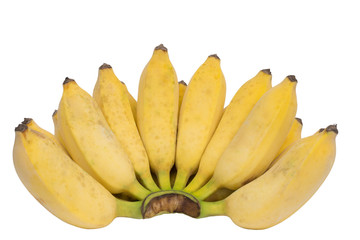 Cultivated banana isolated on white background