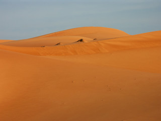 Fototapeta na wymiar sand dunes in soft light