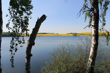 Seelandschaft