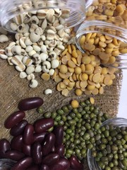 Four kinds of seed bean, Millet, Yellow bean, Green bean, Red bean
