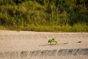 Landscape during Mekong cruise Laos