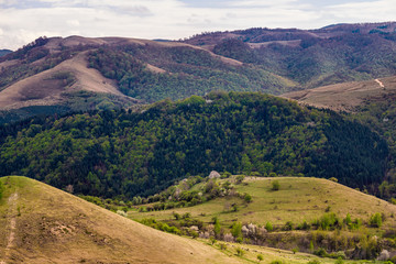 Fototapeta premium Colorful forest in Sredna gora mountain, Bulgaria. Travel to Bulgaria concept.
