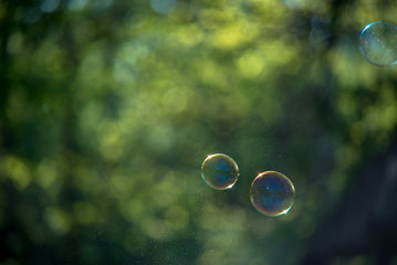 Soap bubbles on a green background