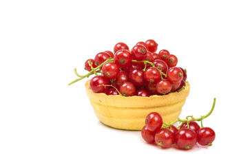 Tartlet with red currant