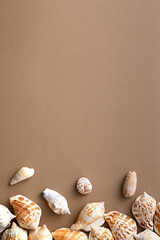Seashells on a brown background. Summer vacation concept. Sea shells assortment. Top view. Copy space