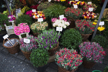 Flower market beautiful flower basket