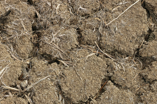 dry lakebed cracked dirt textured background