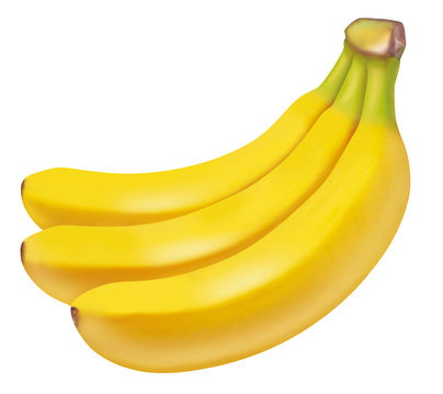Illustration of banana./ White background.