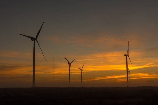 Silhouettes of wind turbines at dawn near Hopefield