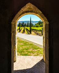 Chapel and Vines
