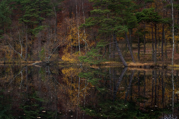 autumn reflections in lake