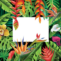 Fototapeta na wymiar Frame from tropical plants and flowers