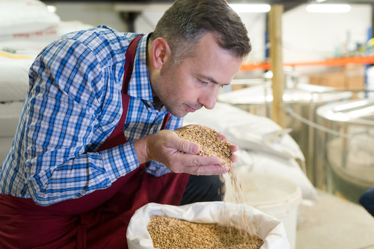 Man wearing apron smelling handful of seeds