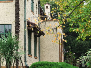 秋色に色付き始めた葉