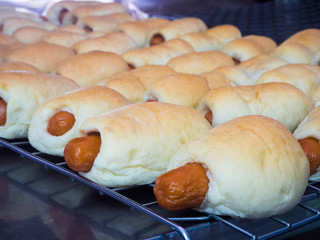 Hot dog bread in factory