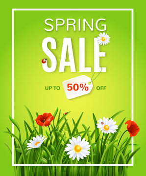 Spring sale poster template with green grass and flowers, vector illustration