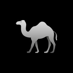 Silhouette of a gray camel standing. Camel side view profile.