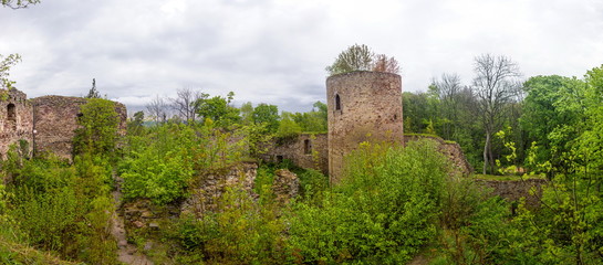 Fototapeta premium Rural stone ruins of gothic castle. Czech Republic