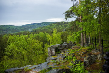 Fototapeta na wymiar Landscape with rock in forest