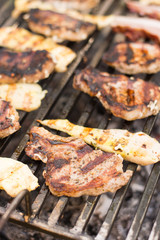 Pork chops and chicken breasts on the barbecue grill.