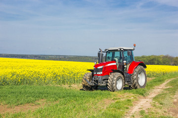 Tracktor in field © Sergey Fedoskin