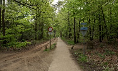 Obraz premium Typical dutch nature on a spring day