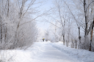 Woman on winter park alley.