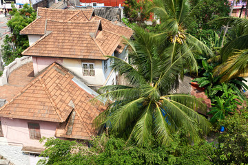 Typical tiled house in kerala india amidst coconut trees - 154232367
