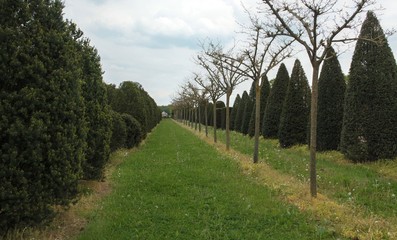 Typical dutch nature on a spring day