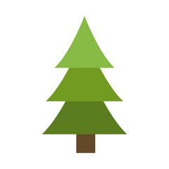 tree pine natural environment ecological symbol vector illustration