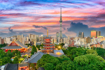 Naklejka premium Tokio, Japonia pejzaż miejski.
