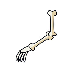 cartoon arm bone part skeleton comic vector illustration