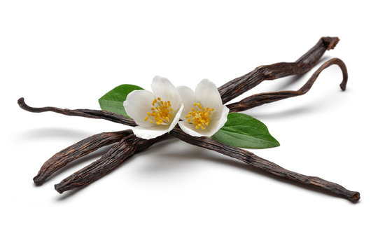 Dried vanilla pods with flowers