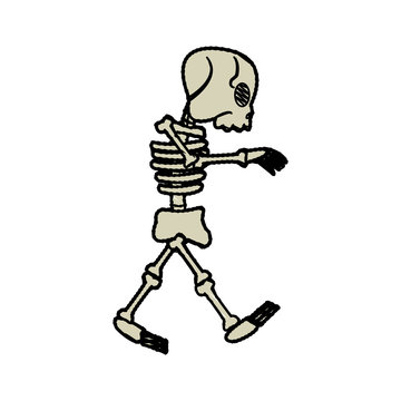 cartoon skeleton bones fairy tale vector illustration