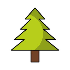 Fototapeta premium pine Tree isolated icon background vector illustration