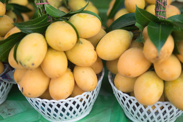 Sweet Marian plum sold in Thai market