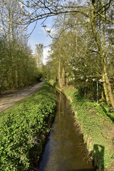Fototapeta na wymiar La Woluwe et le chemin en pleine nature au printemps en aval du moulin à eau de Lindekemale à Woluwe-St-Lambert