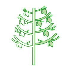 tree plant autumn icon vector illustration design