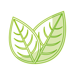 leaf plant seasonal icon vector illustration design
