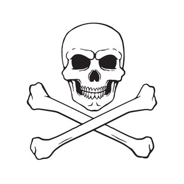 Vector illustration. Hand drawn doodle of skull Jolly Roger with crossbones at the bottom. Danger warning sign. Cartoon sketch. Decoration for greeting cards, posters, emblems, wallpapers