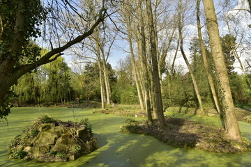 La marre près du Slot ,avec ses trois ilots en pleine nature sous une éclaircie à côté du ruisseau la Woluwe 
