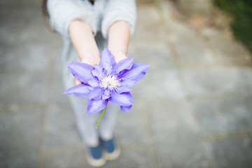 青い花を差し出す子供