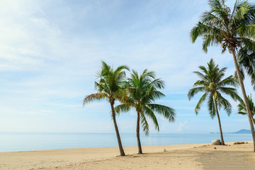 Fototapeta na wymiar Coconut palm tree and sky on tropical beach in Thailand