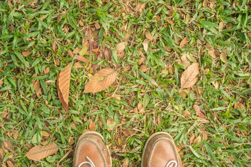 Men's shoes on the grass in the park