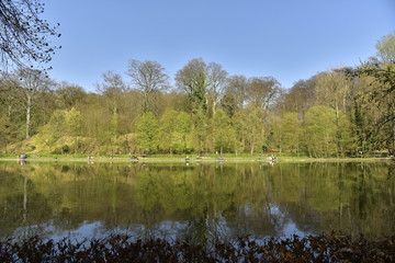 Fototapeta na wymiar L'étang du Moulin près de l'abbaye du Rouge-Cloître avec son reflet incroyable de la nature de la forêt de Soignes au printemps
