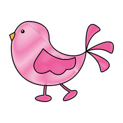 cute little bird walking vector illustration design